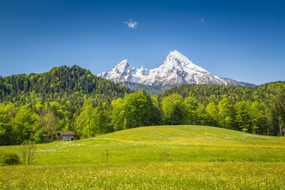 Scenic view of field and mountains against sky