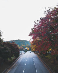 Road amidst trees against clear sky