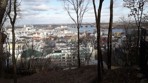 Trees and buildings in city against sky