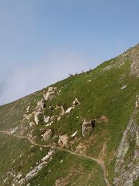 Scenic view of landscape against clear sky