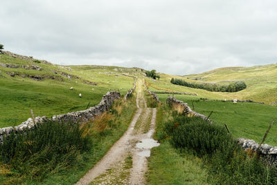 Scenic view of field against cloudy sky