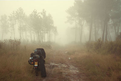 Motorcycle parked at forest during foggy weather