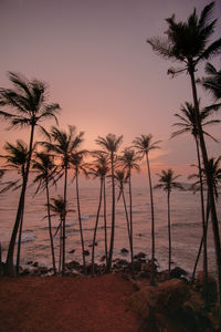 Palm trees on beach against sky during sunset