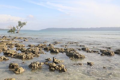 Scenic view of sea against sky