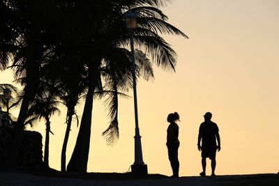 Silhouette people standing by palm tree against clear sky