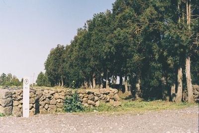 View of trees on field against sky