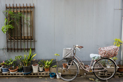 Bicycle on potted plant against wall