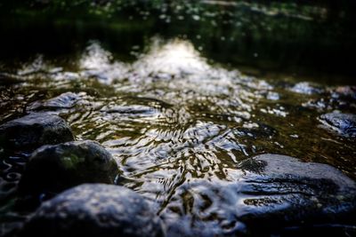 Close-up of rocks in water