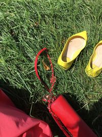 High angle view of shoes on grass