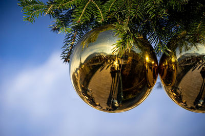 Low angle view of coconut palm trees against sky