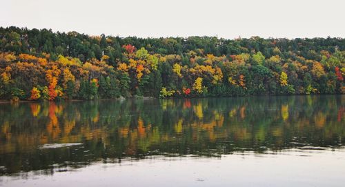 Reflection of trees in lake against clear sky