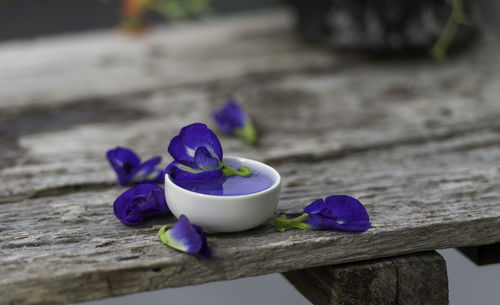 Close-up of purple flower on table