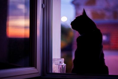 Silhouette cat on window sill at night