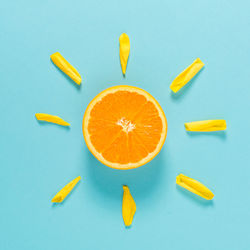 High angle view of fruits over white background