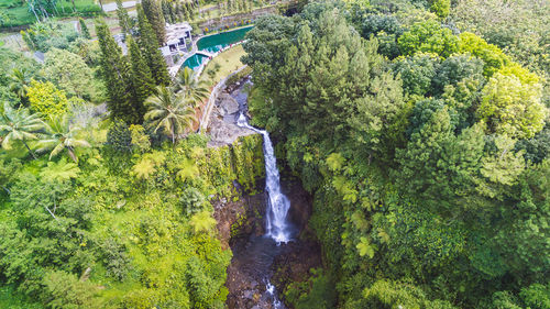 Scenic view of waterfall in forest