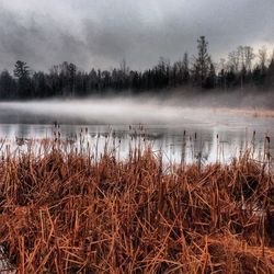 Scenic view of lake against sky
