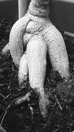 Close-up of statue by tree on field