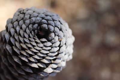 Close up of stone