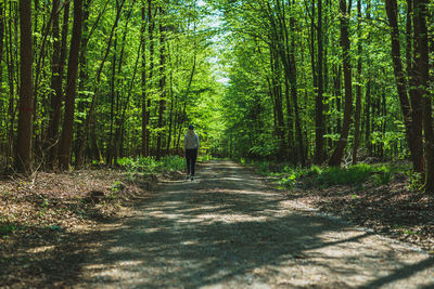 Rear view of person walking on road amidst trees in forest