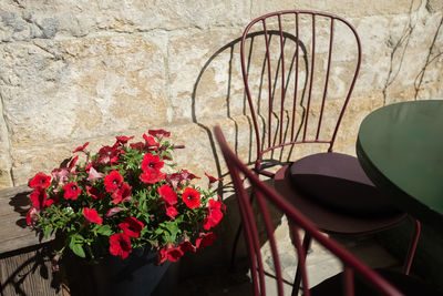 Red flower pot on table against wall