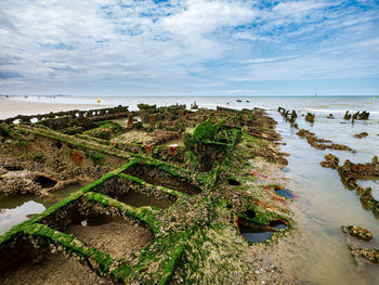 Seashell and algae covered shipwreck leftovers from a world war ship at a beach in northern france