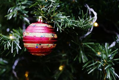 Close-up of illuminated christmas tree