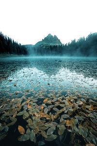 Scenic view of lake by trees against sky