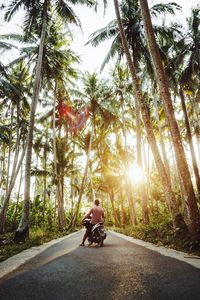 Man riding motorbike on road amidst tree