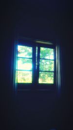 Trees seen through window of house