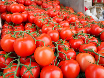 Close-up of tomatoes for sale at market stall