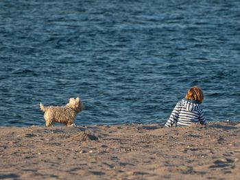 Rear view of a boy overlooking calm blue sea