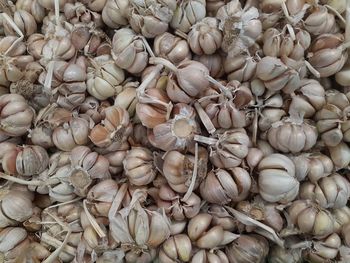 Pile of garlic in supermarket jakarta. fresh and healthy garlic 