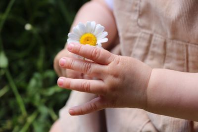 Midsection of baby girl holding small white flower