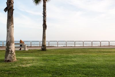 Man on field by sea against sky
