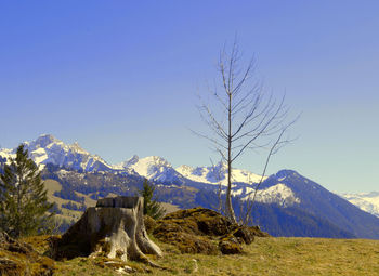 Scenic view of snowcapped mountains against clear blue sky