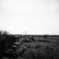 Scenic view of field against clear sky