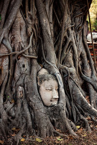 View of buddha statue