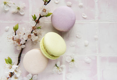 French sweet macaroons colorful variety on a pink tile background with spring blossom