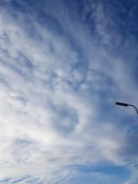 Low angle view of bird against sky