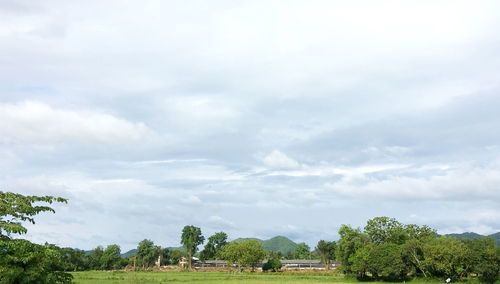 Trees on field against sky