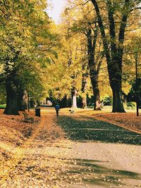 Rear view of people walking on autumn trees