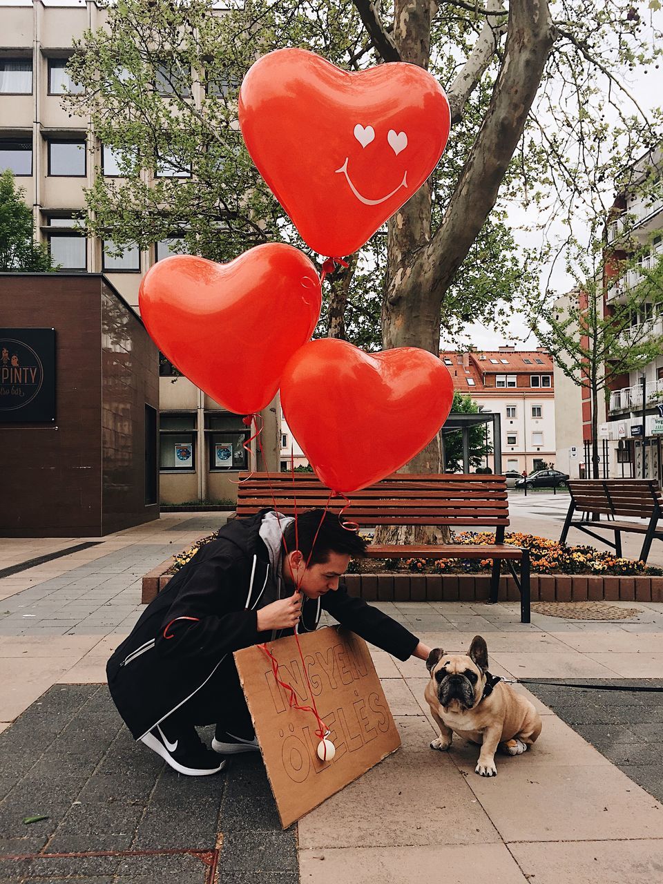 dog, pets, balloon, outdoors, building exterior, friendship, red, animal themes, helium balloon, day, architecture, domestic animals, tree, no people, city, mammal