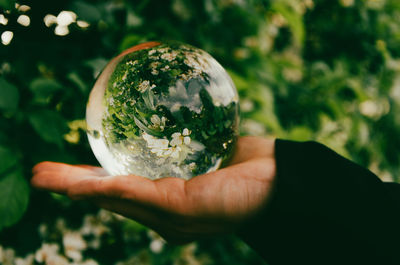 Close-up of hand holding crystal ball