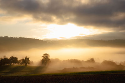 Scenic view of field against sky during sunset