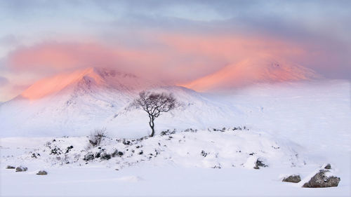 Scenic view of snow covered mountains against sky