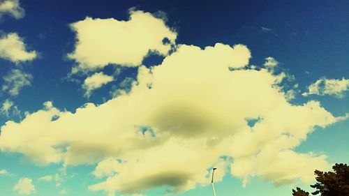 Low angle view of trees against sky