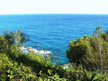 Scenic view of calm sea against clear sky