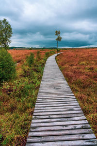 Landscape in the high fens nature park in the eifel, belgium.