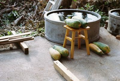 High angle view of vegetables in yard