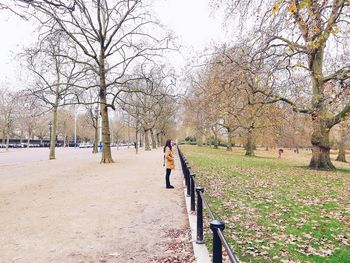 Footpath along trees